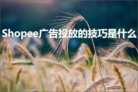 跨境电商知识:Shopee广告投放的技巧是什么